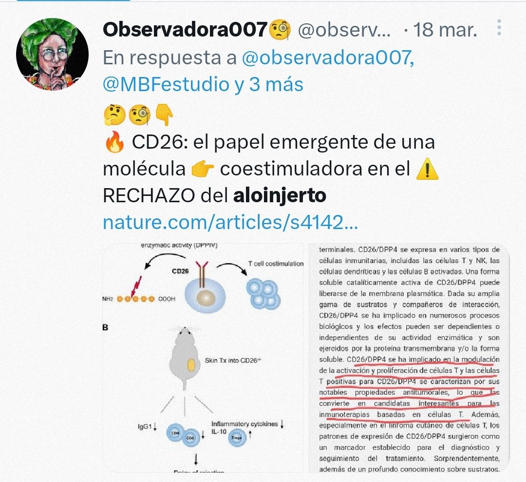 observadora007's tweet photo. @CuecaLabs @CheweyLife 💫💖#CD26 el papel emergente de una MOLÉCULA coestimuladora en el ⚠️RECHAZO de aloinjerto
😬
https://t.co/zg2t5lnzVf https://t.co/K8Ut4fCTgG