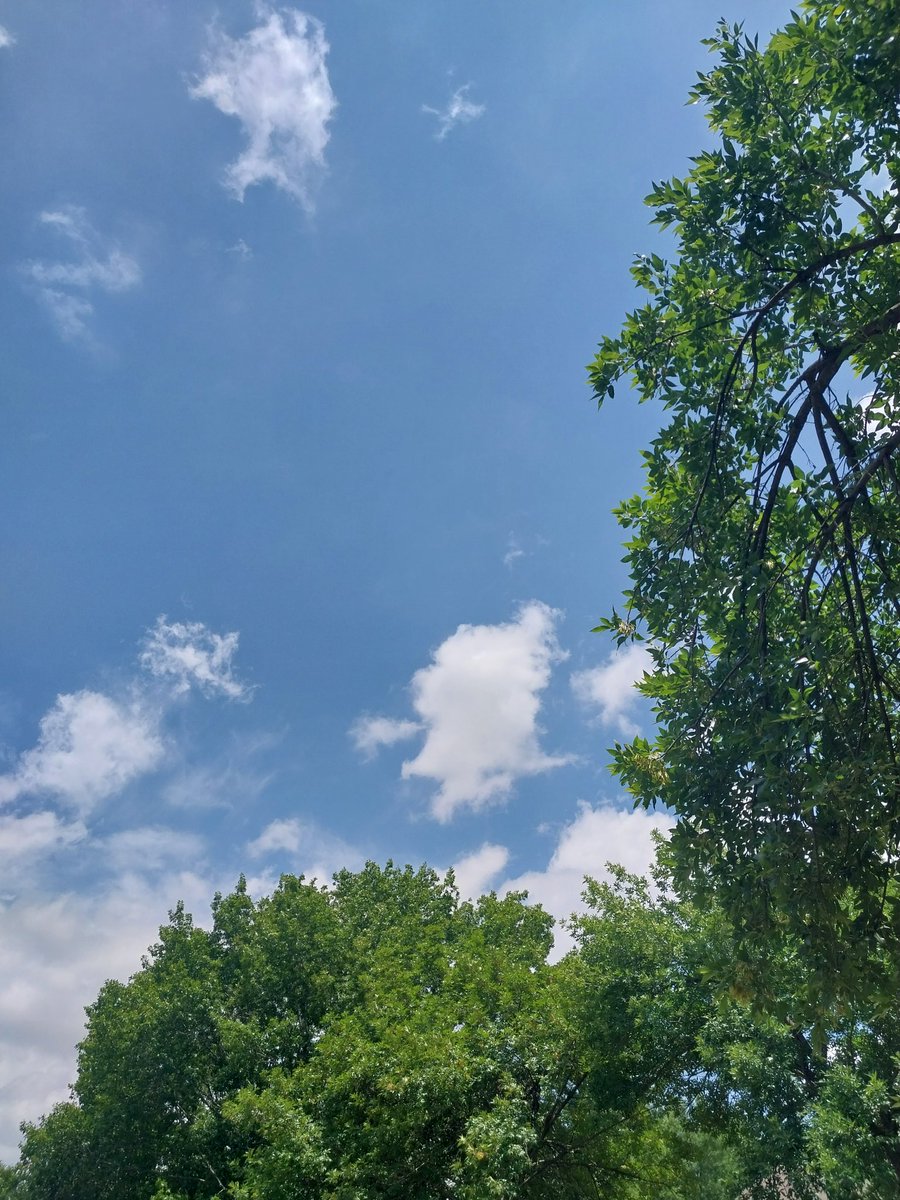 GuyNAustin's tweet photo. Taking advantage of a break in the clouds over ATX for today's #SunStroll.
What are you doing outdoors today? https://t.co/1uQc0VLch6