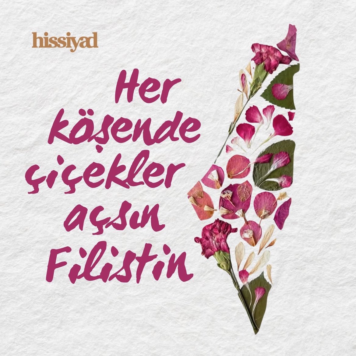 Her köşende çiçekler açsın Filistin 🇵🇸