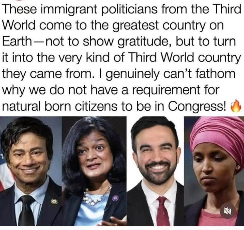 Ames2420's tweet image. Common sense says that people need to actually be born in the United States .... in order to be a member in the United States Congress. It doesn't take a Rocket Scientist to figure that out.