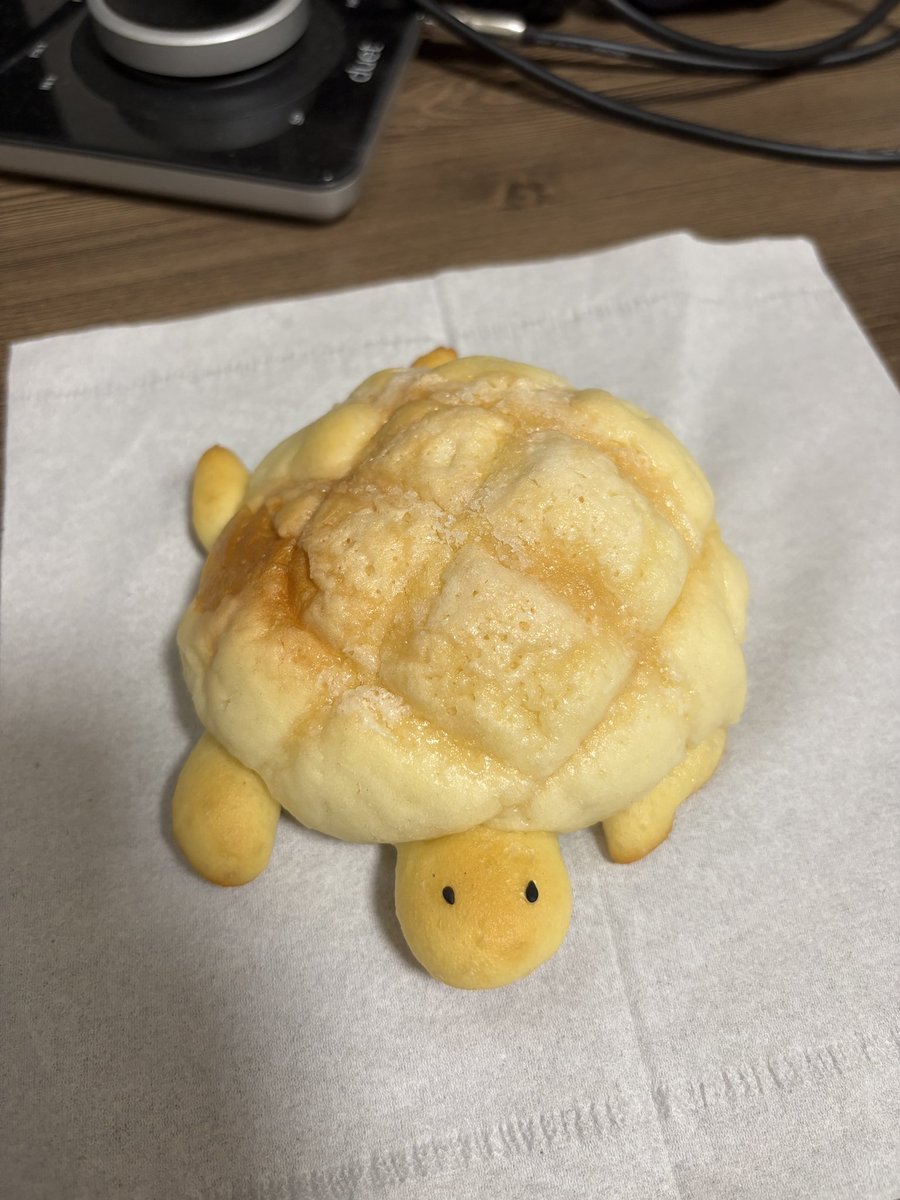 パン屋さん近くではないけどあった🐢