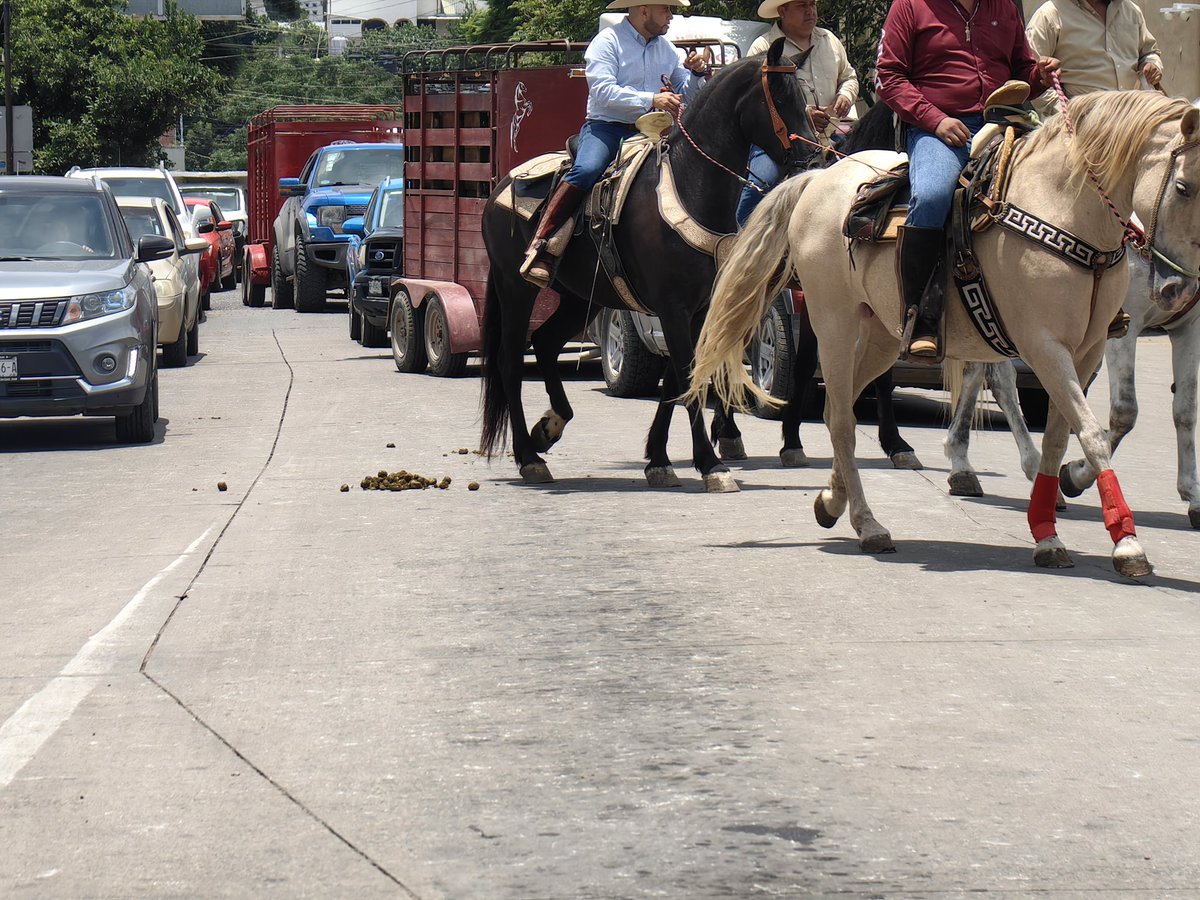 Muy bonitos los caballos, que recorren la ciudad, pero quién va a limpiar las Kks q van dejando, que paso ahí <a href="/MunicipioOaxaca/">Municipio de Oaxaca de Juárez</a>??