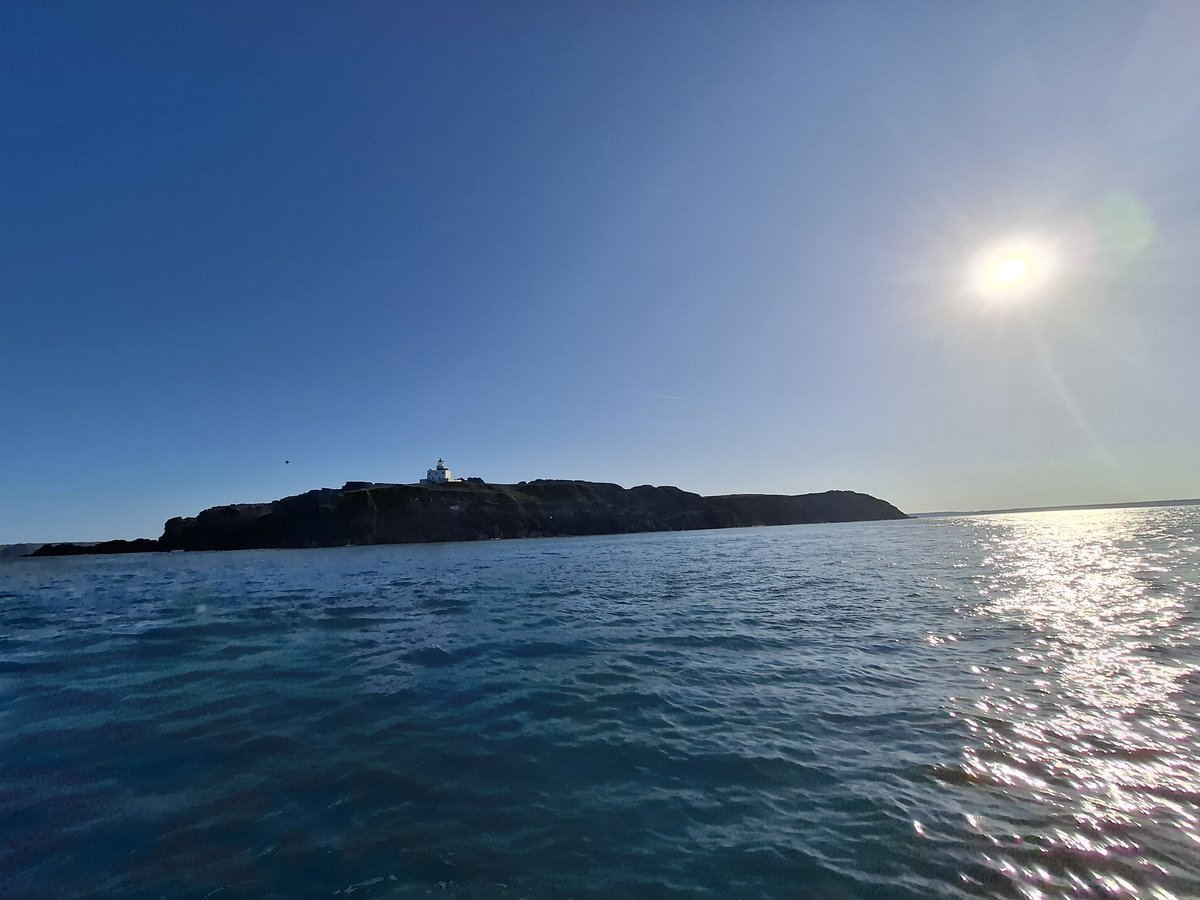 <a href="/SkokholmIsland/">Skokholm Island</a> from the #sea
#heatwave #summer #home #pembrokeshire #coast ✌🏽🏴󠁧󠁢󠁷󠁬󠁳󠁿🌞
