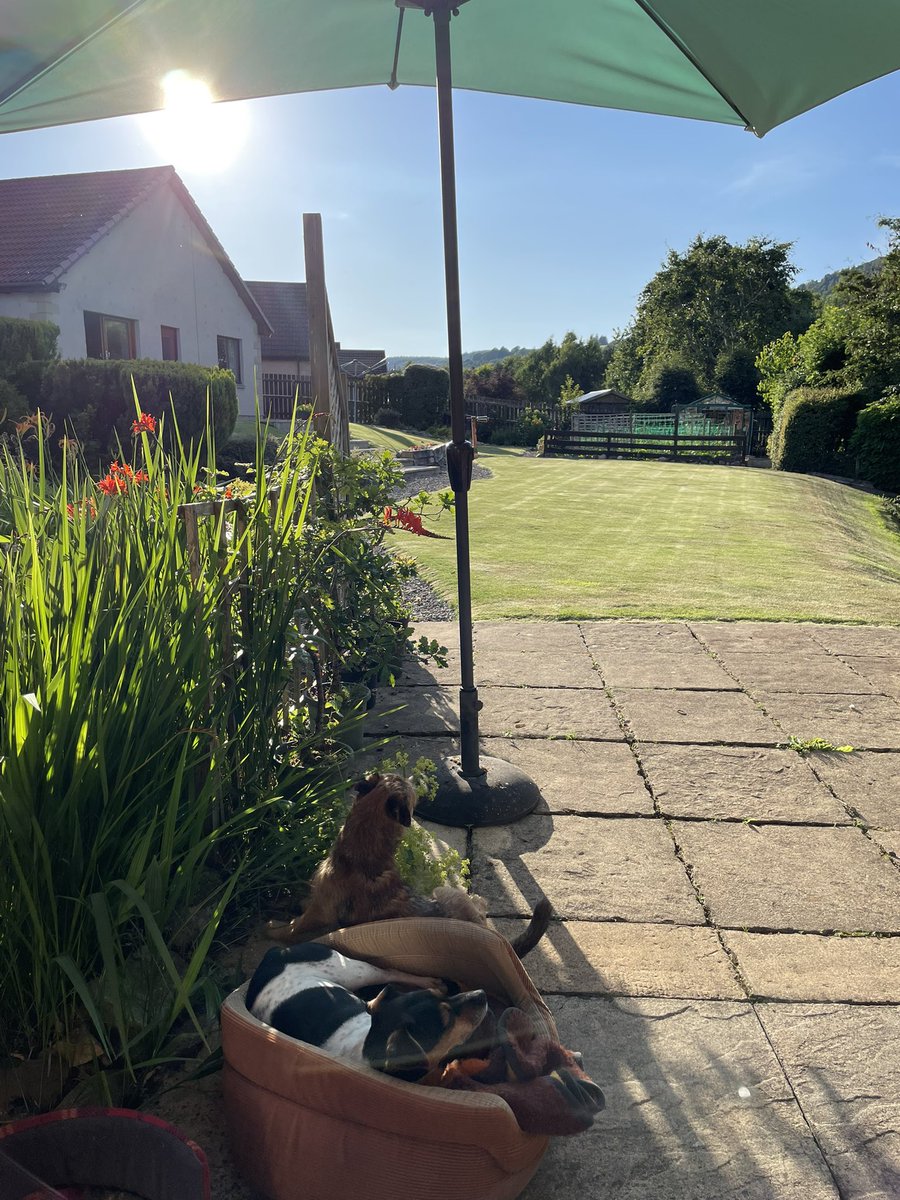 We’re sitting out with M&amp;D trying to keep cool in the shade, but it’s still very warm 🥵🥵🥵
