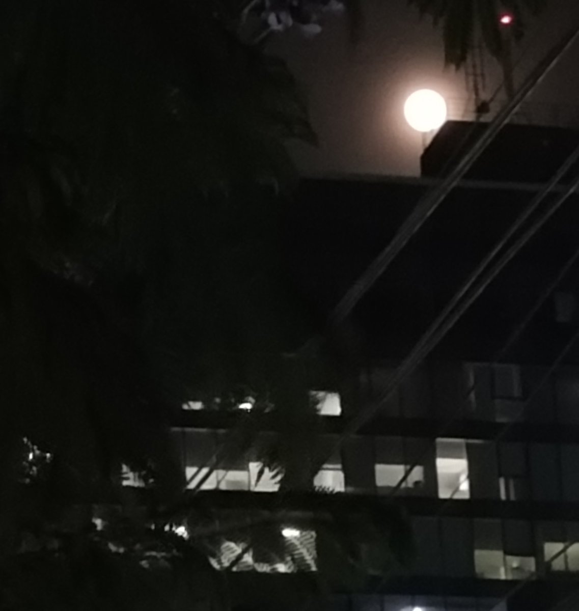OutOFreacH_i's tweet image. ....🦋🦋
फिर चांद खिला... फिर रात थमी...
फिर दिल ने कहा तुम्हें देखूं...🖤 🌝