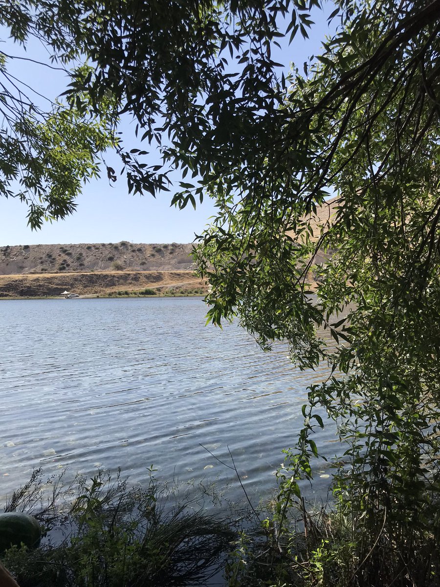 Serin bir rüyanın hatırınadır
çektiğim dünya ağrısı.

Bir hayalden geldim ben,
bir hayal verdim sana,
mavi-yeşil bir hatıra: işte dünya
ruhum! ovada sert es, yamaçta sus,
ırmakta ağla.