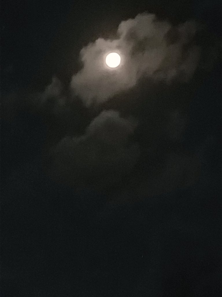 OutOFreacH_i's tweet image. ....🦋🦋
फिर चांद खिला... फिर रात थमी...
फिर दिल ने कहा तुम्हें देखूं...🖤 🌝