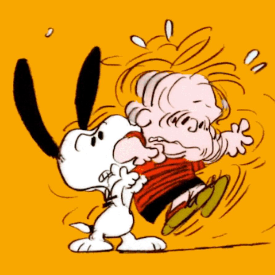 joekitsnoopy's tweet image. 🙌