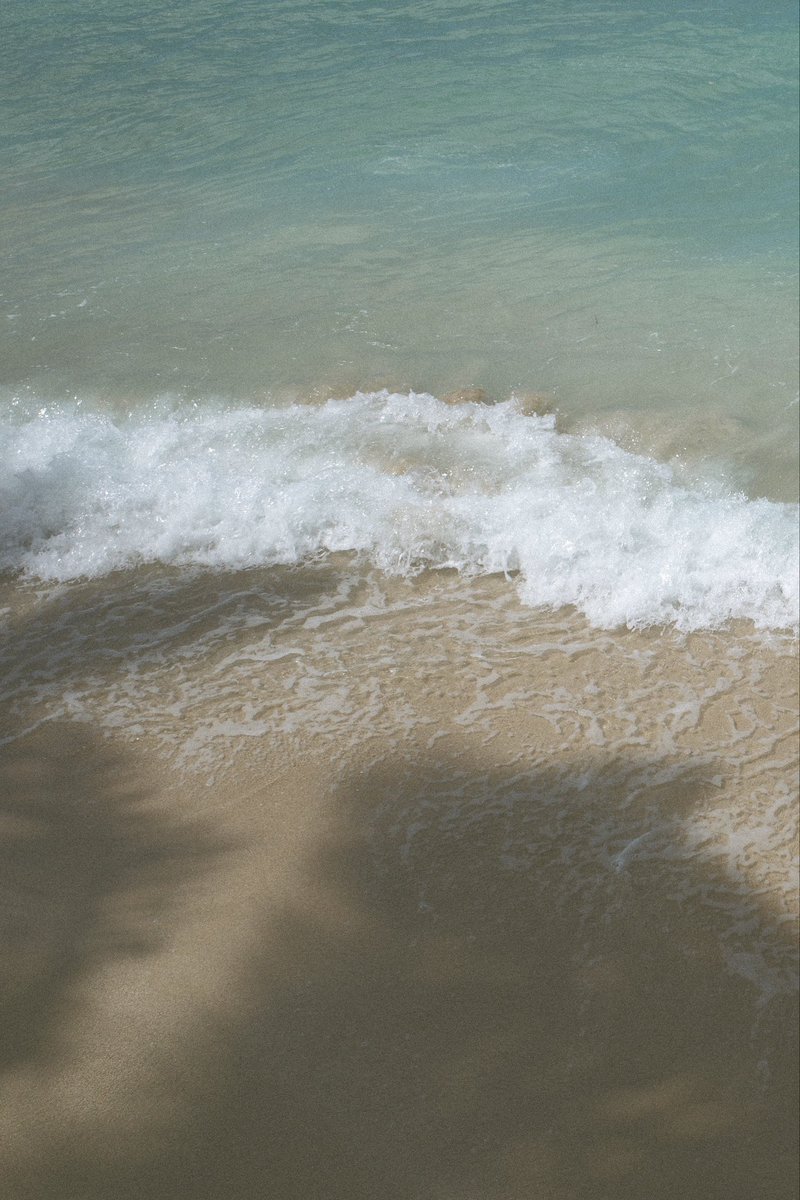 jin_making's tweet photo. Made a simple photo editing app called Tinto. Been dogfooding it this past week— here’s what the edited photos look like. https://t.co/gDeLEzIQTS