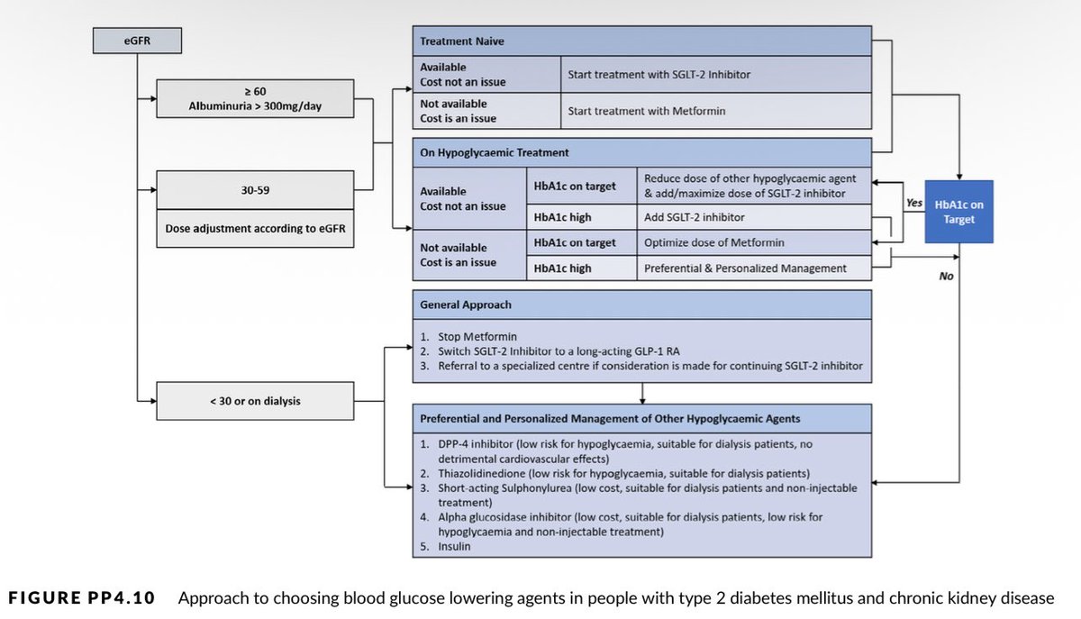 hardik4u24's tweet image. 📌Hypoglycemic Rx in #CKD – Tailored Choices
💡Choosing glucose-lowering therapy in #DKD?
🧠Think beyond metformin: personalize based on eGFR + HbA1c!
📌Use this clear roadmap to switch safely.
🫀Includes dialysis-friendly options!
🔗 doi.org/10.1111/nep.13…
#Nephrology #MedX
