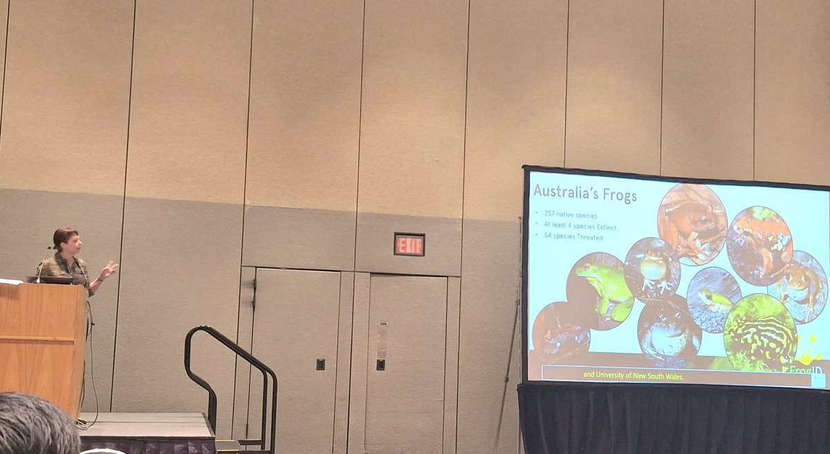 TAKosch's tweet image. I'm really enjoying the #JMIH25 conference in St. Paul, Minnesota. Today, I went to an excellent talk by @jodirowley on her amazing FrogID app 🐸🐸🐸