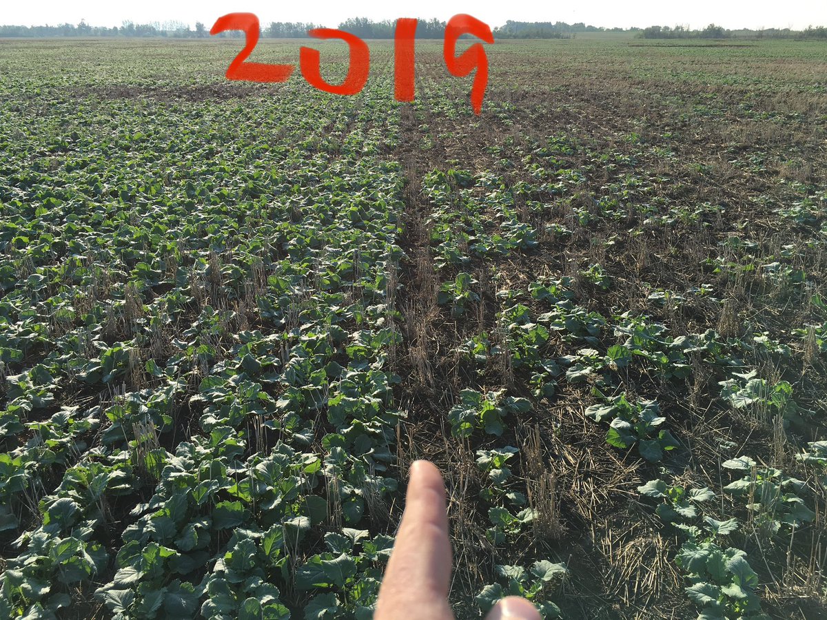 Brock Shearer tweet media