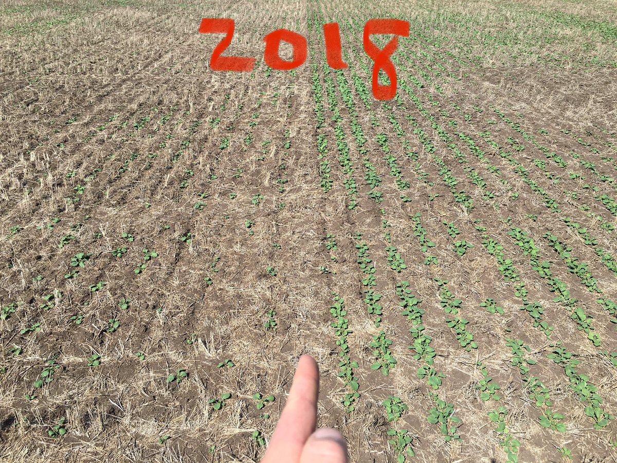 Brock Shearer tweet media