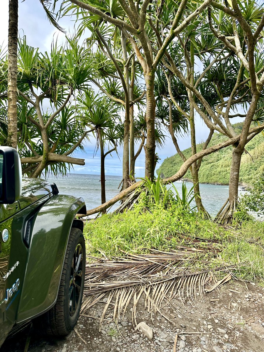GervaisBooks's tweet image. Exploring Maui. #JeepLife