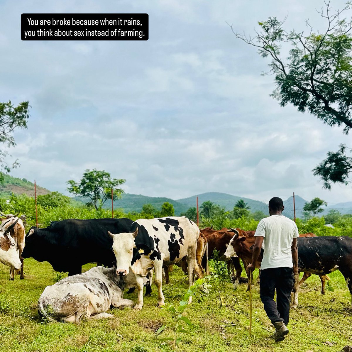 That dream was planted in your heart for a reason. Chase it. 😍