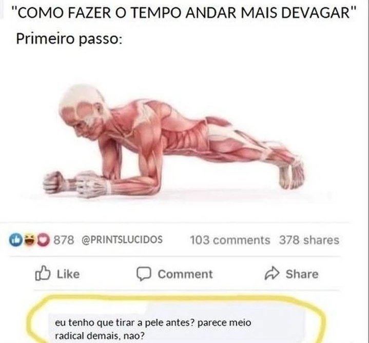 Biologia Braba (@biologia_braba) on Twitter photo 