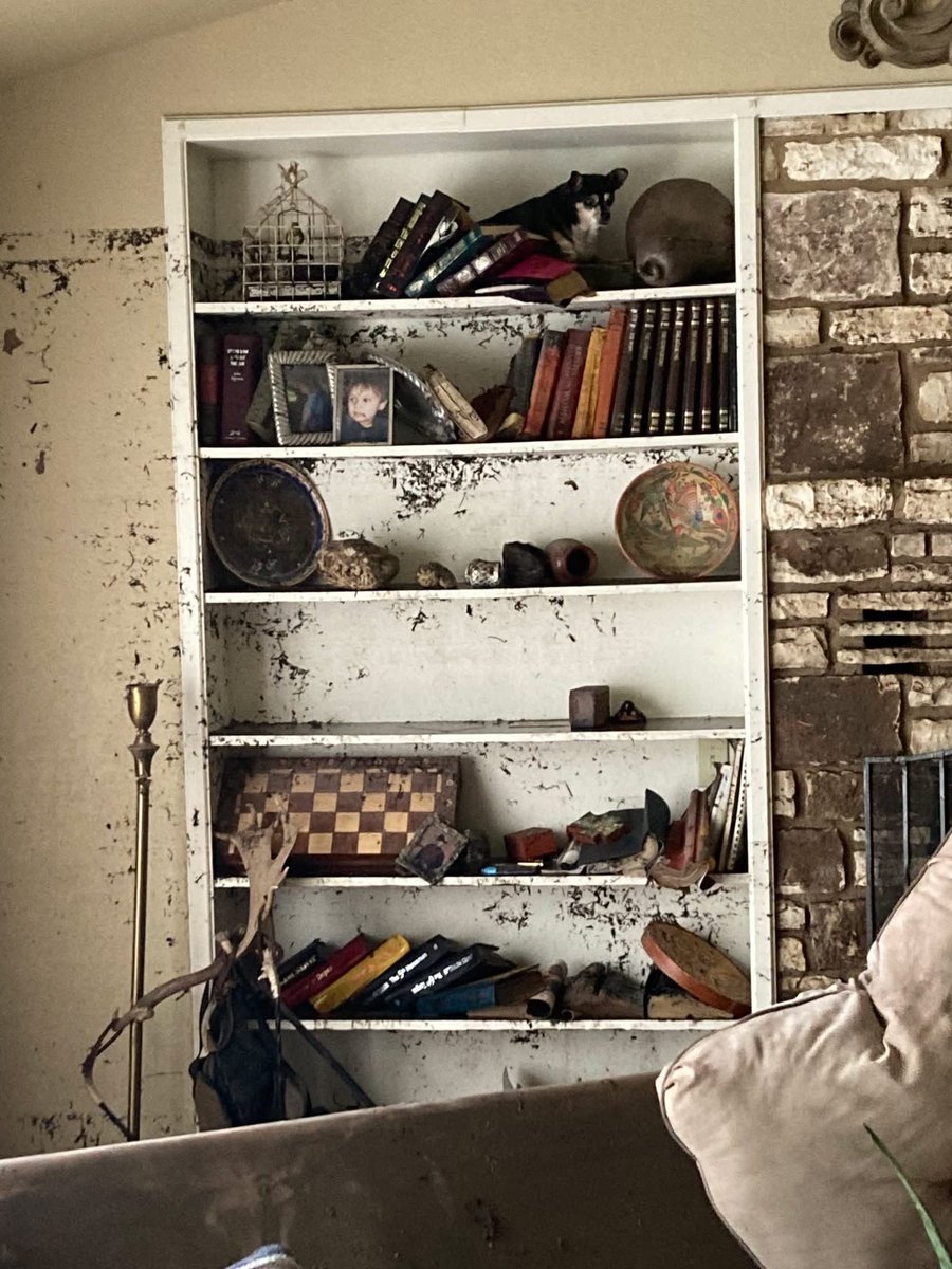Look closely at this photo and you'll see a ray of light. Sitting right there at the top of the bookshelf. ❤️
Dr. Karen Taylor, Executive Director of the West Kerr Chamber thought she'd lost her dog Gidget in the flood. By the grace of God, Gidget was able to swim and find safety
