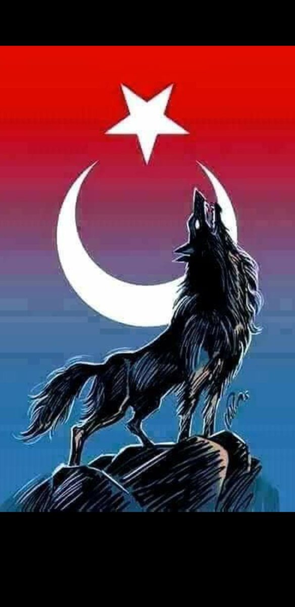 Ali osman Kilic (@aliosmank430) on Twitter photo 