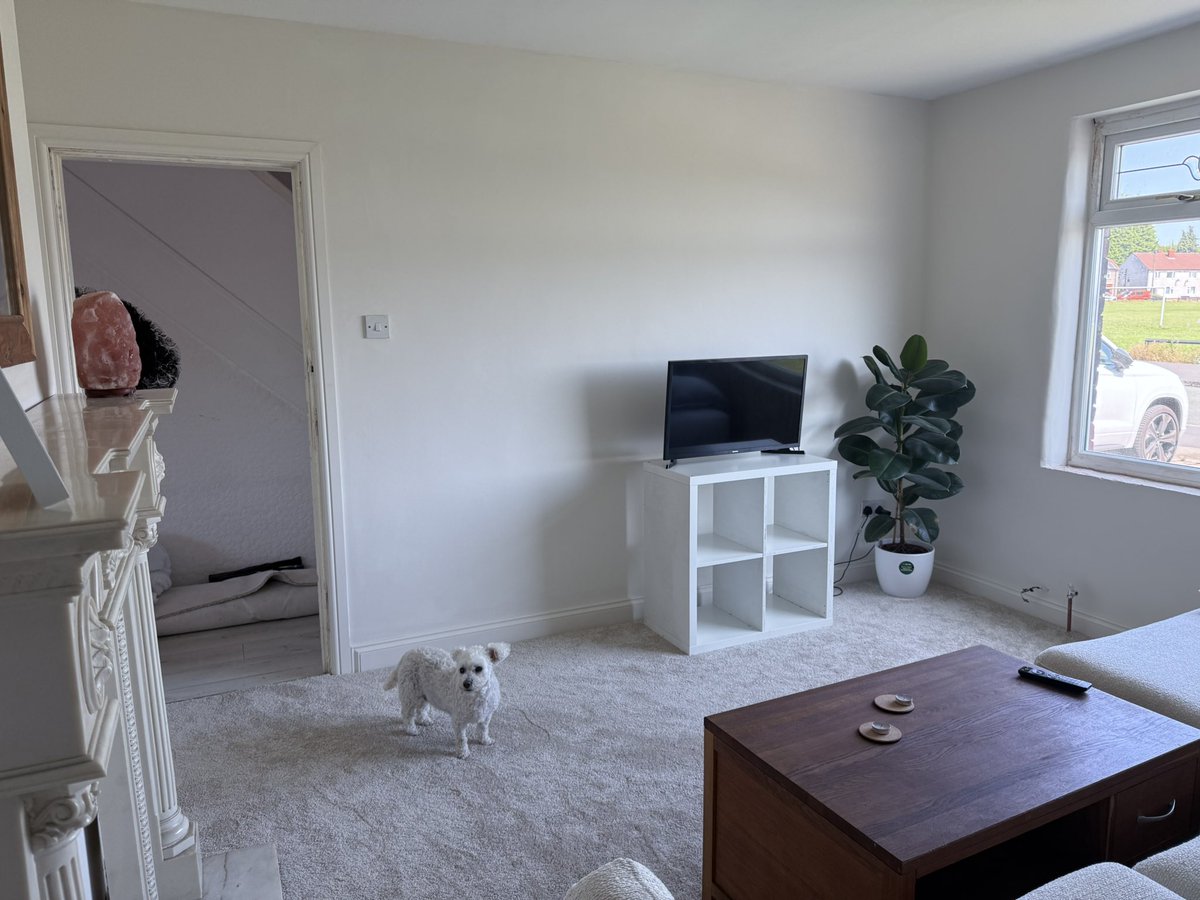 Rage Darling tweet media