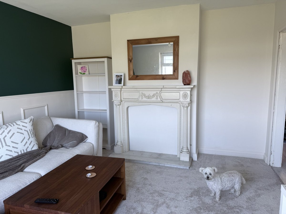 Rage Darling tweet media