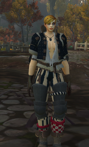 Klermara's tweet image. The armour from The Witcher. For Temeria! 
#worldofwarcraft  #epsilonwow #TheWitcher #customarmor