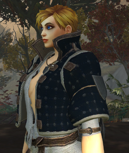 Klermara's tweet image. The armour from The Witcher. For Temeria! 
#worldofwarcraft  #epsilonwow #TheWitcher #customarmor