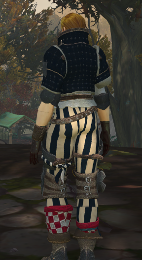 Klermara's tweet image. The armour from The Witcher. For Temeria! 
#worldofwarcraft  #epsilonwow #TheWitcher #customarmor