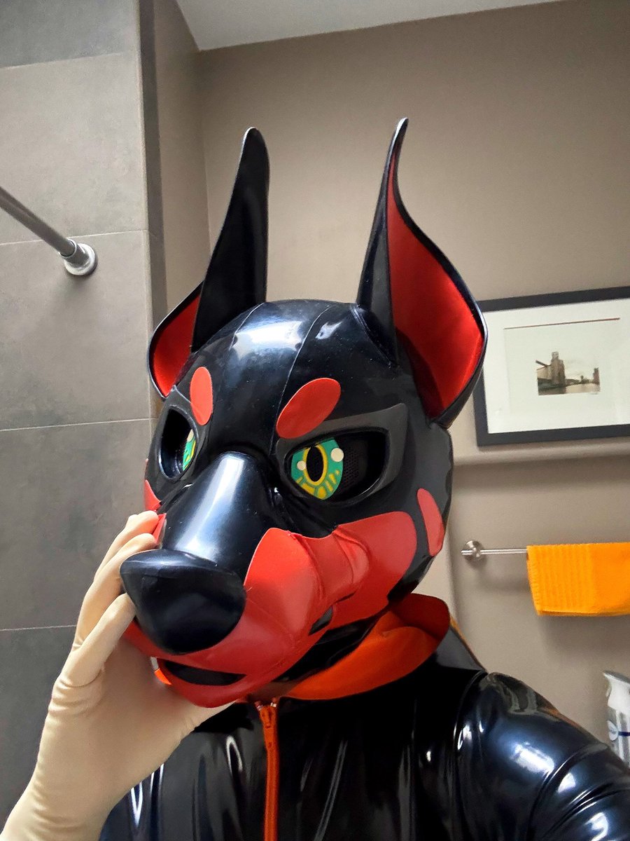 “Go ahead, try to take me off…”

#squeakySaturday #rubberfur