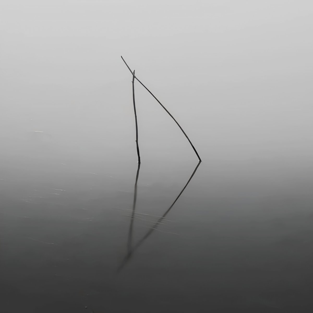 Minimal photography