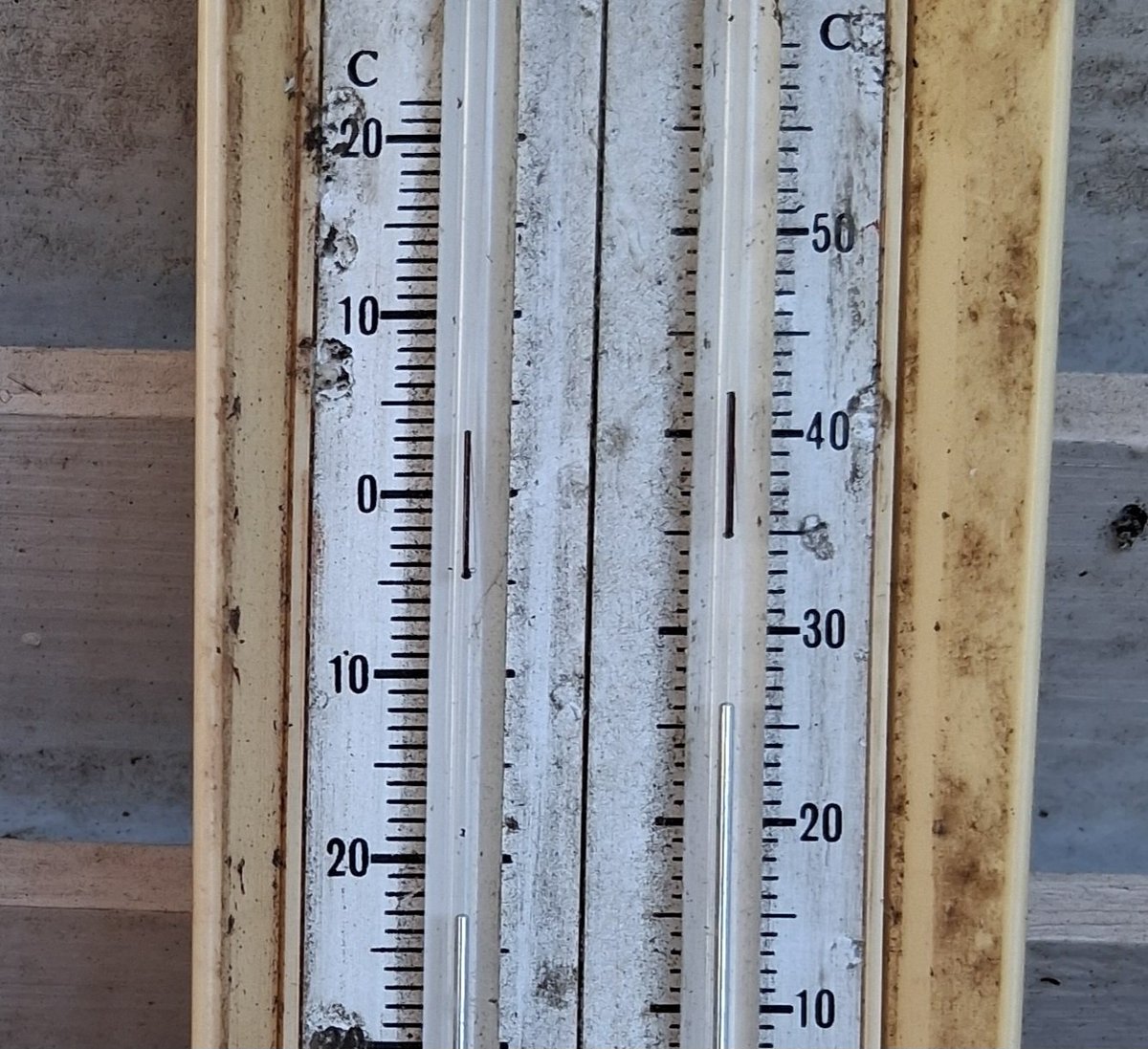 Bill Ward tweet media