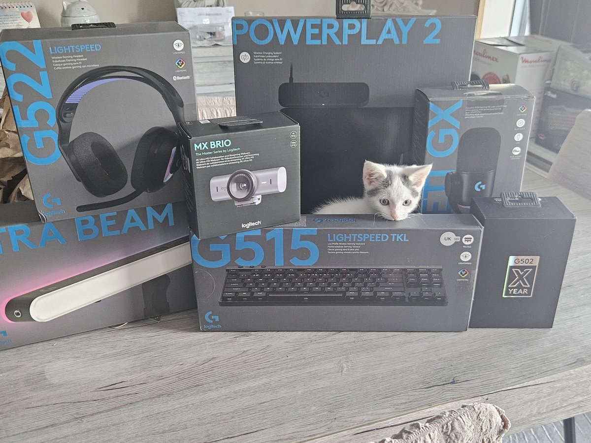 streamlabs's tweet image. Congrats to our winner Lucotine on twitch on winning our full @logitechG streamer setup at #TwitchConEU!
(Kitten not included)