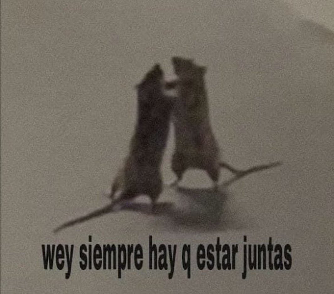 rocio🧸 (@rociodta) on Twitter photo 