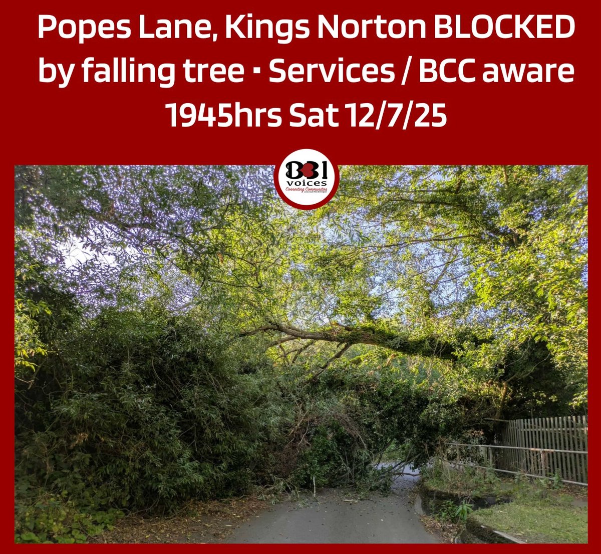 B31Voices's tweet photo. #SWBrumTRAVEL ⚠️ FALLING TREE ⚠️ This tree is unstable PLEASE DO NOT WALK UNDER IT!
Popes Lane #KingsNorton (by railway bridge)
Fire, police and council are aware https://t.co/bbBnSiWFfK