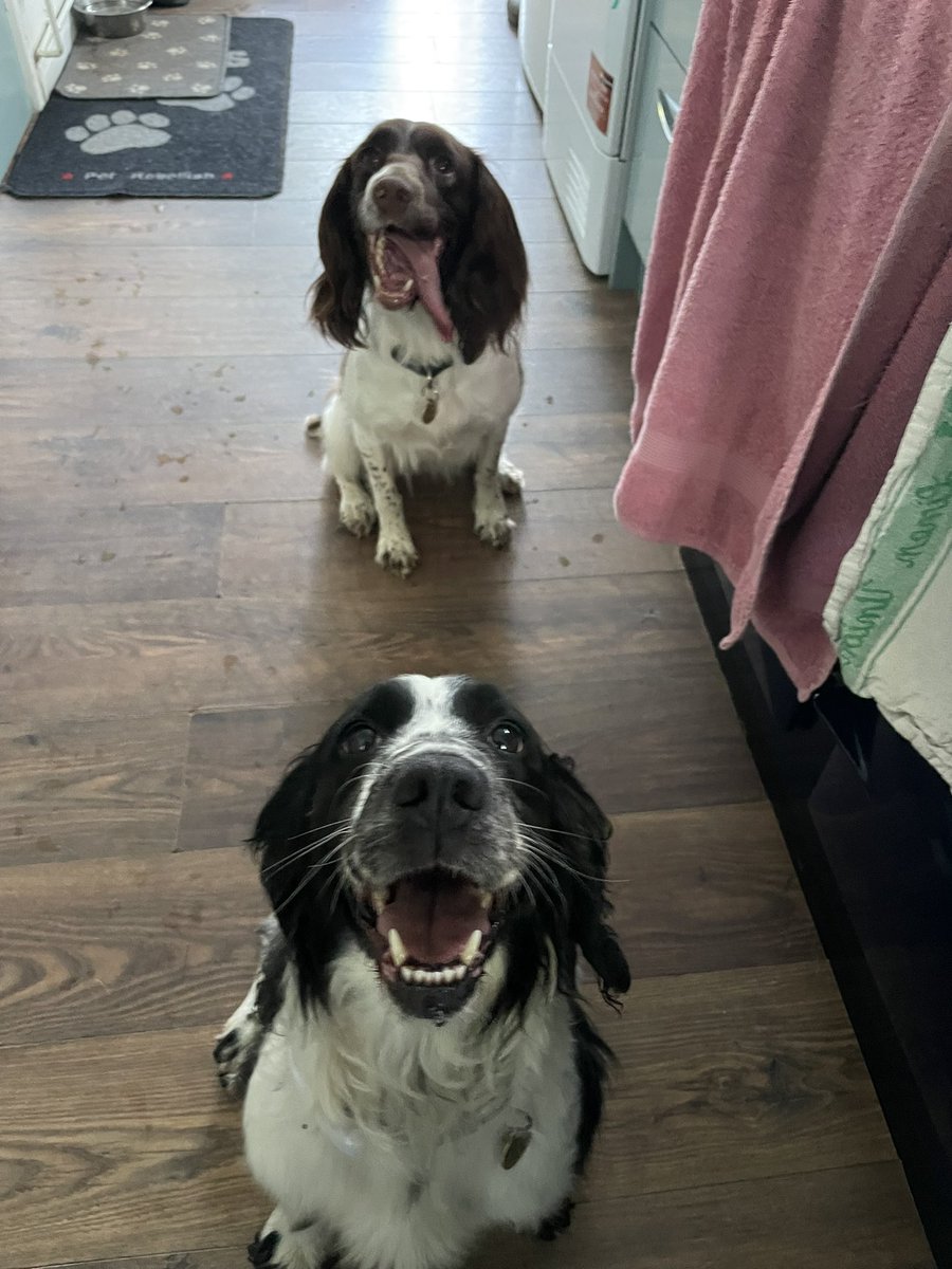 Errm Victoria have you got a tongue malfunction ?🙄😂😂