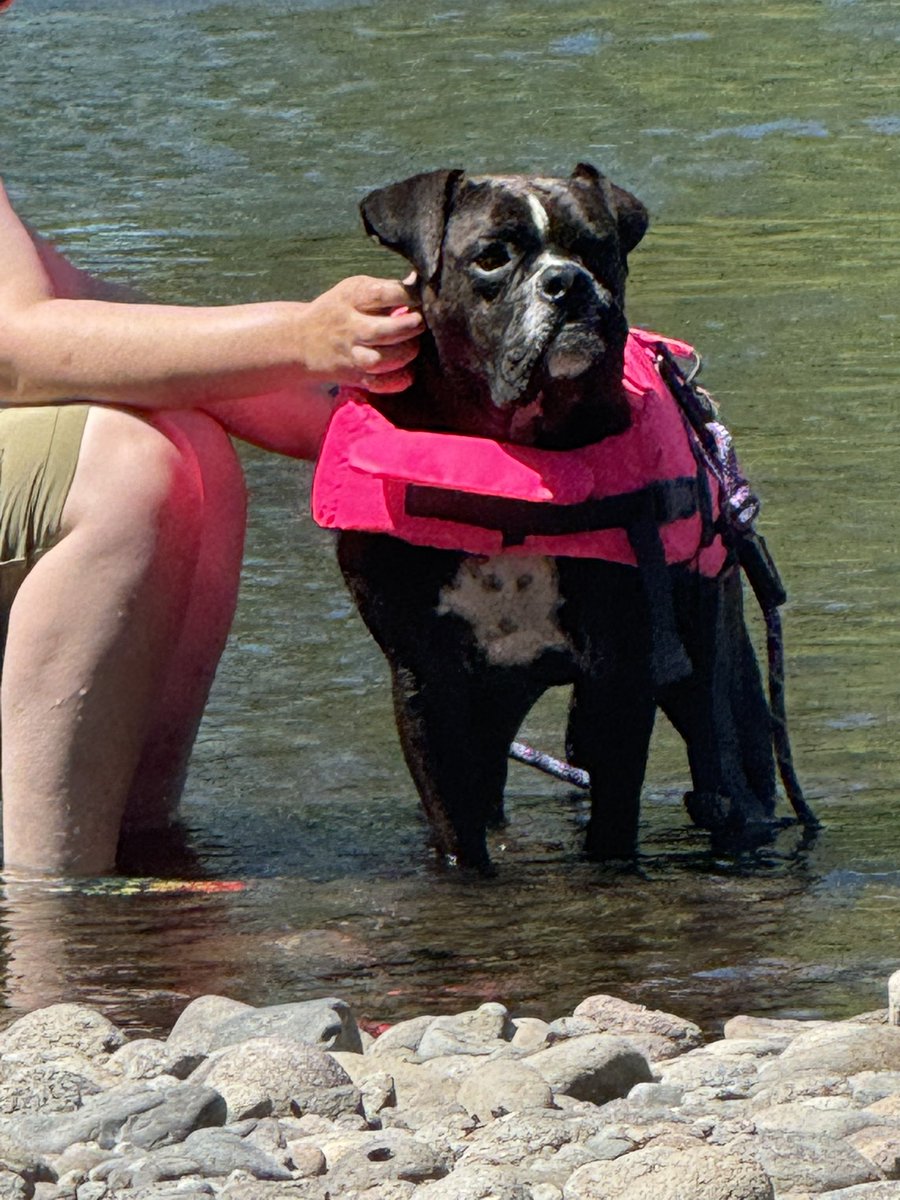 It’s a river day for Gerta! #biggerta