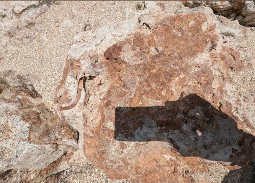 Crypuls's tweet photo. Just going through my holiday photos from Mallorca (Felanitx) and came across this strange shot. It almost looks like a fossilized human or animal nose/face (top right)... what it is—unbelievable! #Mallorca #Felanitx #top #findings #island #travel https://t.co/rUCyJU4D8r