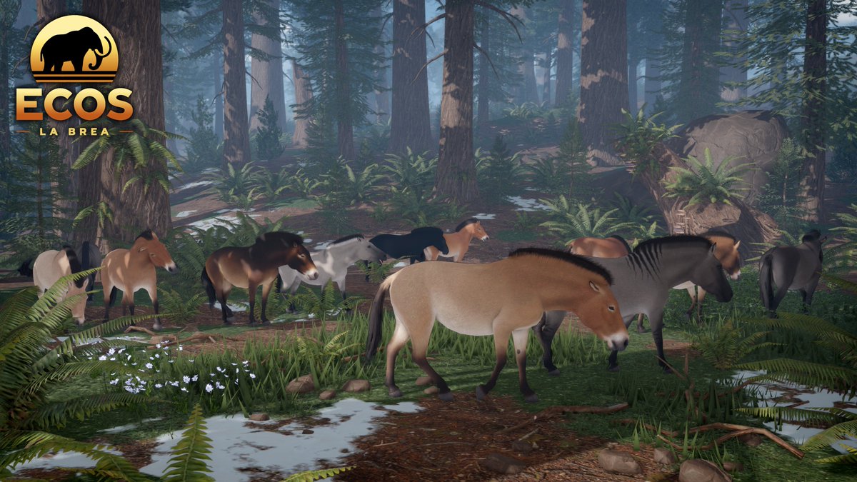 ecos_roblox's tweet image. A Western horse herd finds themselves in an unfamiliar new environment...
Redwood groves are a new plant community that will feature coastal redwood trees, western sword ferns, fungi, & more plants to come.🌲
This is one of many images highlighting an upcoming map update! 📸