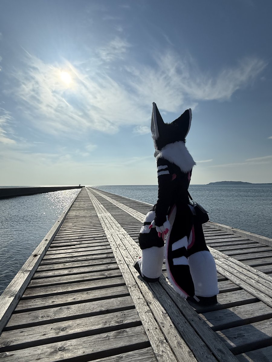 また海に行きたいな
#モフ夏