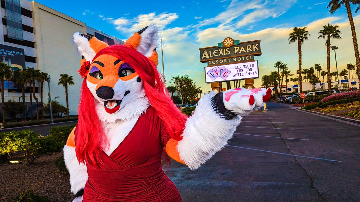 ObaSinuOrisa's tweet image. Suite acquired, I'm excited to head back to LVFC next year ๐ฅฐ๐ฅฐ