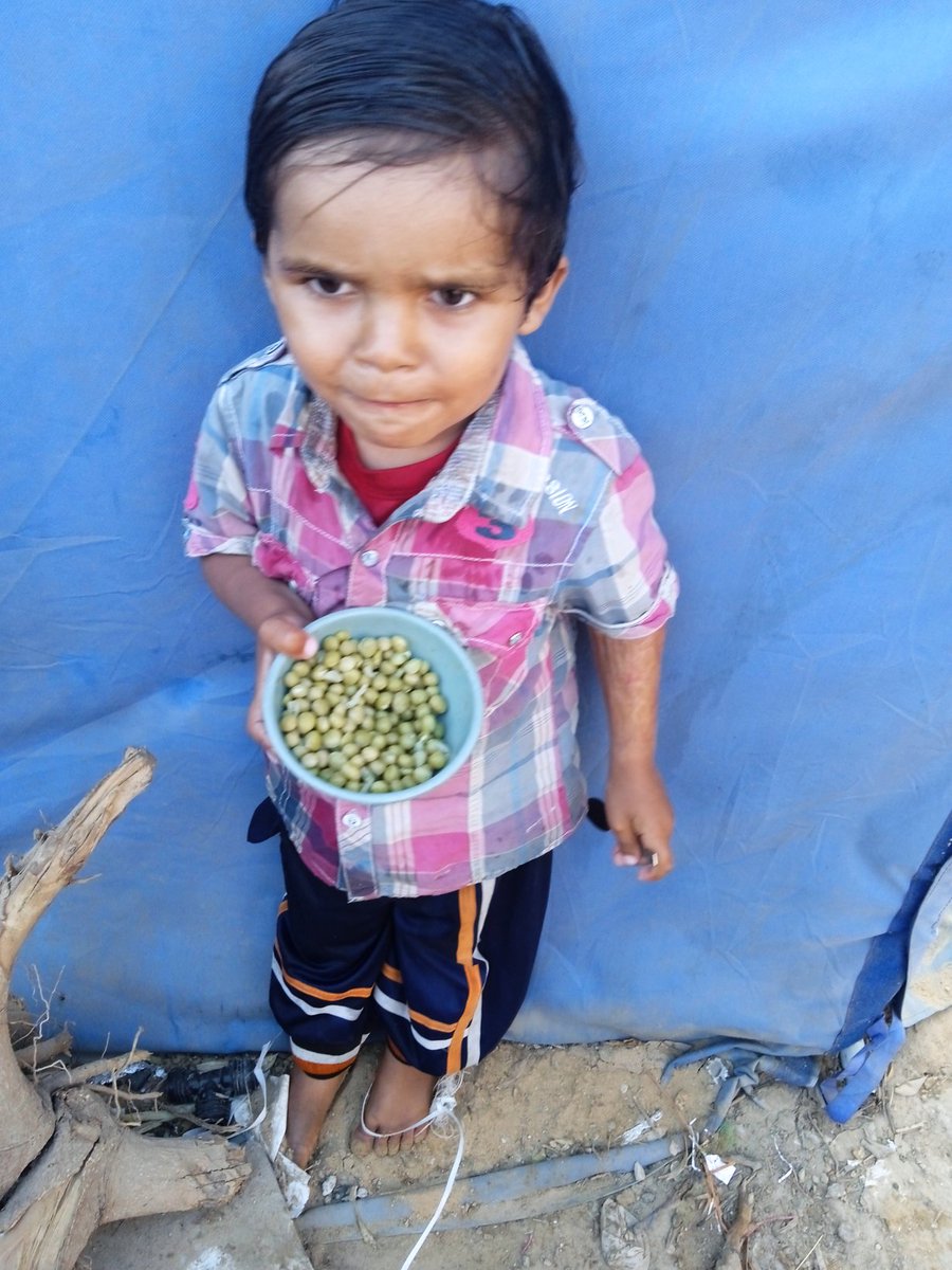 RahafFromGaza's tweet image. Hello everyone, I apologize for the inconvenience, but I need your help by donating whatever you can. I need 200 euros to buy vegetables. 10 euros will make a big difference in my family's life My sisters are hungry🙏🏻😔
gofund.me/03e9ed61
My previous campaign ⬆️🌾