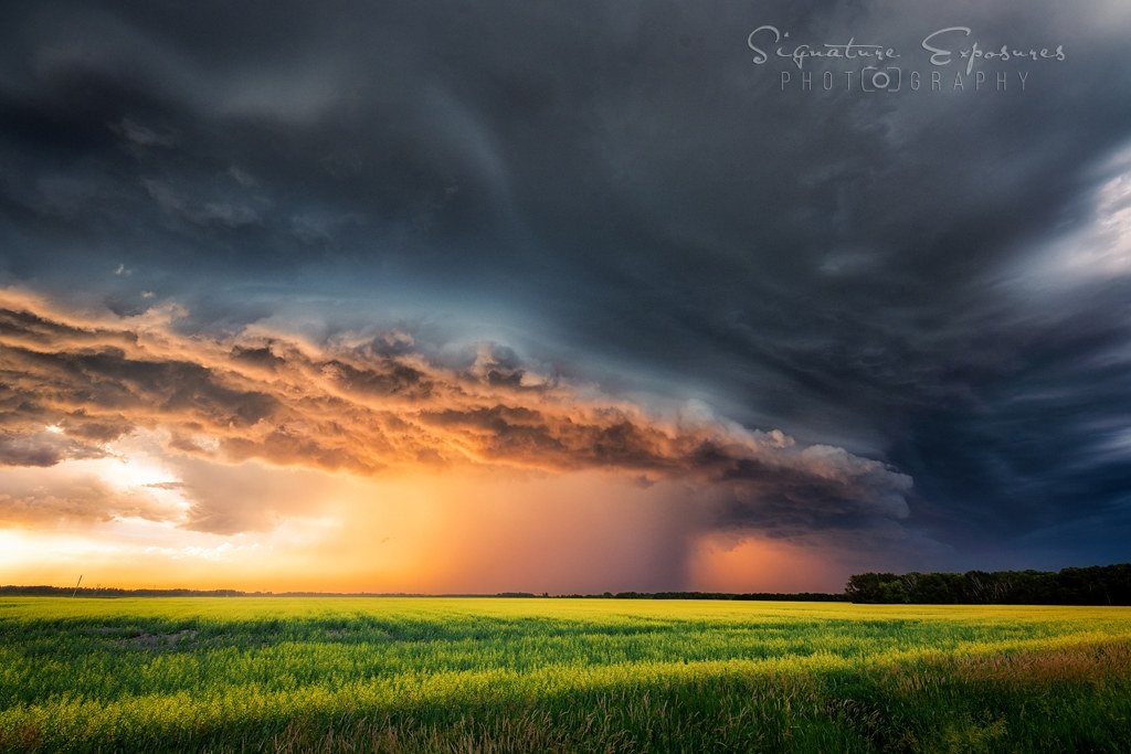 shannbil's tweet image. Colors are the smiles of nature. ~ Leigh Hunt
Canola makes me happy...especially with storms rolling over them! 😊
July 1, 2025, #Manitoba