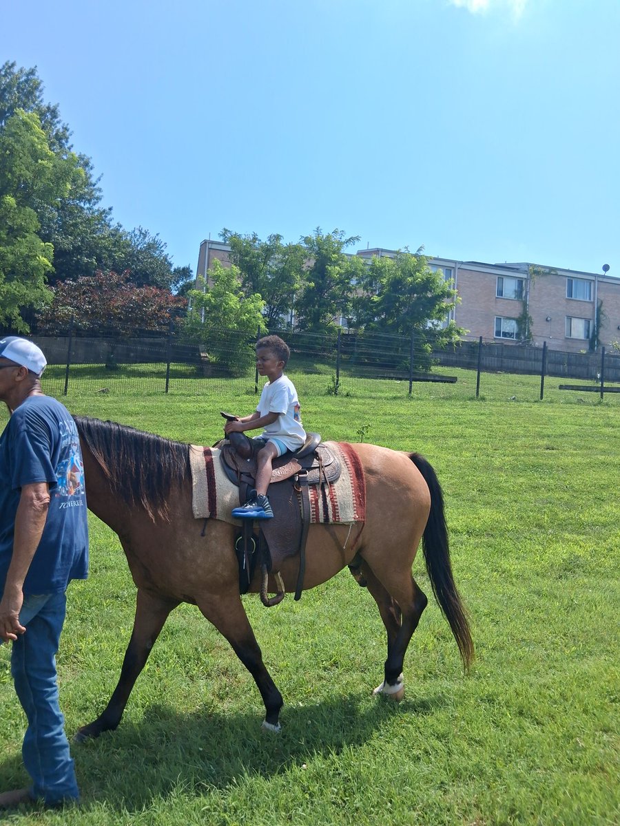 Stamper4DC's tweet image. Wrapping up an amazing day at Nourish the Block! Horses just arrived, and the kids are loving their rides 🐴✨ Huge thanks to our vendors and community for making this possible. Check out these clips! #Ward7 #FoodEquityDay