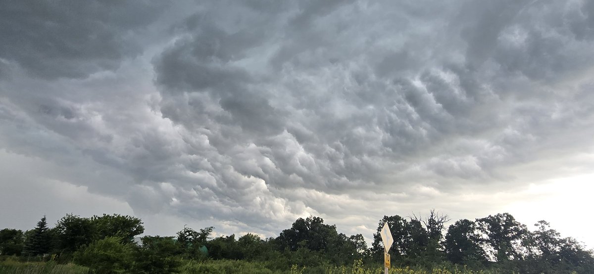 Whalesmouth and scud fingers in Essex County July 12th, 2025 <a href="/WE_SEE_/">W.E. S.E.E.</a>