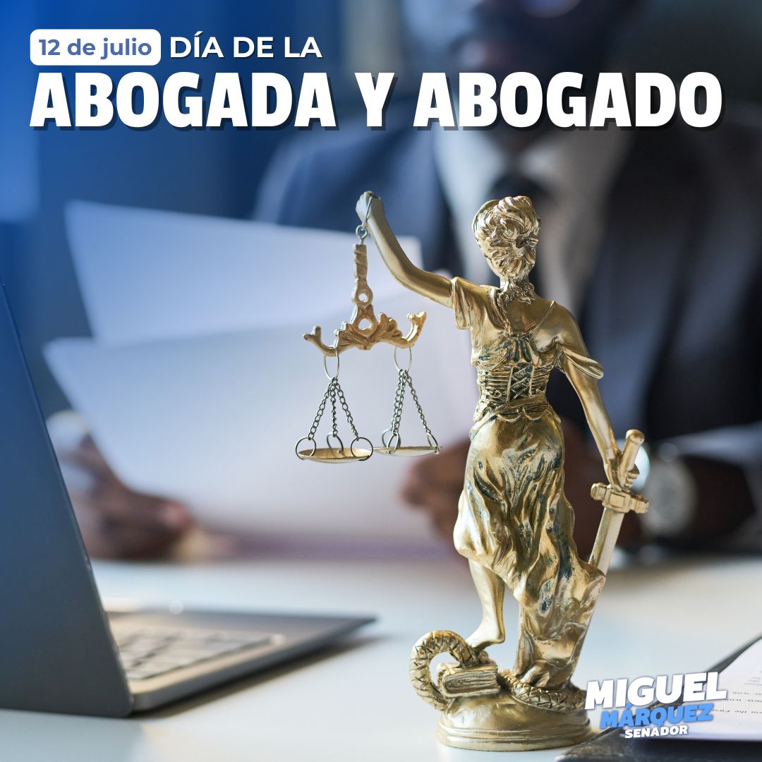 Como legislador y como ciudadano, reconozco el trabajo de quienes defienden la justicia con ética y compromiso. Mi respeto a todas y todos los abogados que, a través de las leyes, protegen la dignidad y los derechos de las personas. ¡Feliz #DíaDelAbogado!