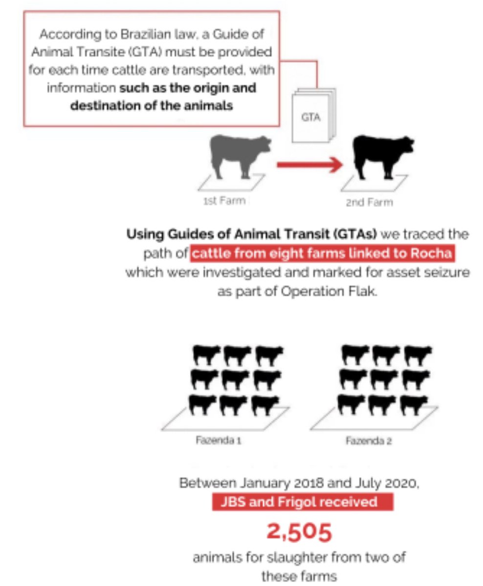 🚨JBS BOUGHT 2,500 CATTLE FROM A COCAINE KINGPIN WHO LAUNDERED DRUG MONEY THROUGH RANCHES RAIDED BY BRAZILIAN FEDERAL POLICE.

THEY SUPPLY YOUR KID’S LUNCH—AND GET PAID BY THE USDA TO DO IT. 

DEPORT JBS! MAHA🇺🇸