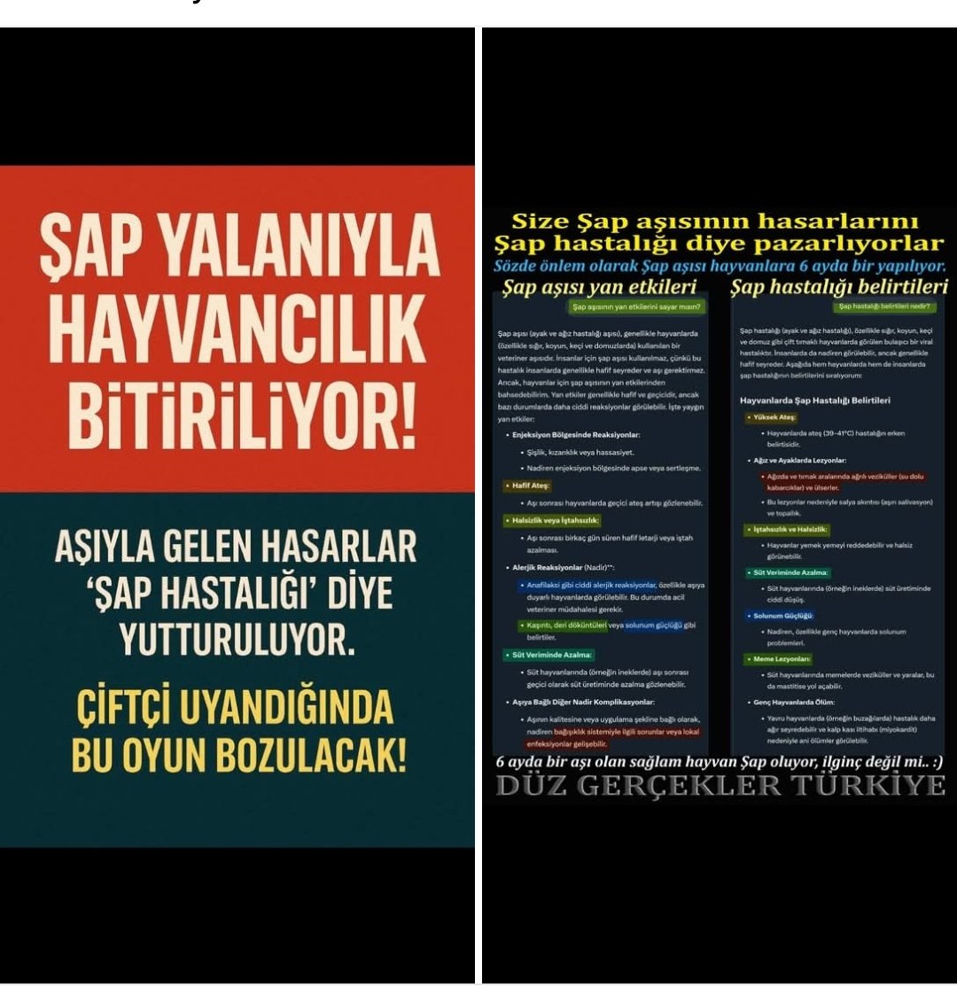 Uyanış başladı..
Çiftçilerimiz bu oyunu bozacak.. 
Bu aşılar hayvancılığı bitirmek için yapılıyor, artık biliyorlar ve sonuna kadar direnecekler.   Arkadaşlar, şap aşısını önlem amaçlı yapmaya daha hayvan küçükken başlıyorlar.. 

ilk şap aşısı genellikle 3-4 aylıkken yapılır.