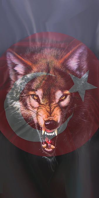 🇹🇷 O.K.A.Y 🇹🇷 (@kaputogluosman) on Twitter photo <a href="/yassomu/">CДFCДFLI_ÇİÇΞҜ 💛❤️🇹🇷</a> <a href="/berserkercnr/">🇹🇷Berserker 🇹🇷🐺🤘 ⭐⭐⭐⭐⭐🦁🦁🦁🦁🦁</a> <a href="/seydaky9/">ŞEYDA</a> <a href="/Ozgurfreecevik/">ÖzgürFree Çvk</a> @_Firkete <a href="/Aycaydzz/">Aʏᴄ̧ᴀ Kʜᴀᴛᴜɴ 🐺🦁</a> <a href="/MnsOHAN/">ManasOrHAN</a> <a href="/aykacc1919/">TC Gülcan Aykaç𐱅𐰇𐰼𐰚🇹🇷</a> <a href="/asenayfer/">Ayfer</a> <a href="/Borte1944/">Börte 🇹🇷 𐱅𐰇𐰼𐰰 🇹🇷</a> <a href="/Ataturktentaraf/">Müjgan Nisa🏹</a> <a href="/nurzydn/">Göknur ✨</a> <a href="/Ripahh_/">🇹🇷𐱅𐰇𐰼𐰚🇹🇷</a> <a href="/1YASAMCAN1/">🇹🇷YAŞAM CAN🇹🇷</a> Biz 🇹🇷 #TÜRKÜZ bizim #VATANİMİZ Burası
🇹🇷🐺♾️ Baska #TÜRKİYE yok
TÜRK VATANINA SAHİP ÇIK <a href="/yassomu/">CДFCДFLI_ÇİÇΞҜ 💛❤️🇹🇷</a> <a href="/berserkercnr/">🇹🇷Berserker 🇹🇷🐺🤘 ⭐⭐⭐⭐⭐🦁🦁🦁🦁🦁</a> <a href="/seydaky9/">ŞEYDA</a> <a href="/Ozgurfreecevik/">ÖzgürFree Çvk</a> @_Firkete <a href="/Aycaydzz/">Aʏᴄ̧ᴀ Kʜᴀᴛᴜɴ 🐺🦁</a> <a href="/MnsOHAN/">ManasOrHAN</a> <a href="/aykacc1919/">TC Gülcan Aykaç𐱅𐰇𐰼𐰚🇹🇷</a> <a href="/asenayfer/">Ayfer</a> <a href="/Borte1944/">Börte 🇹🇷 𐱅𐰇𐰼𐰰 🇹🇷</a> <a href="/Ataturktentaraf/">Müjgan Nisa🏹</a> <a href="/nurzydn/">Göknur ✨</a> <a href="/Ripahh_/">🇹🇷𐱅𐰇𐰼𐰚🇹🇷</a> <a href="/1YASAMCAN1/">🇹🇷YAŞAM CAN🇹🇷</a> Biz 🇹🇷 #TÜRKÜZ bizim #VATANİMİZ Burası
🇹🇷🐺♾️ Baska #TÜRKİYE yok
TÜRK VATANINA SAHİP ÇIK