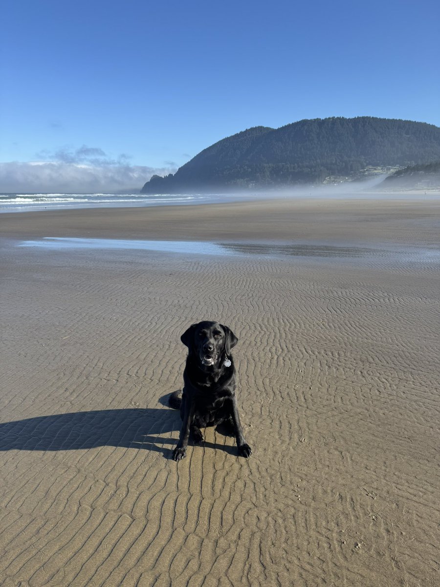 rtmshphysed's tweet image. Leaving my happy place and my happy friend for 5 days to go to another happy place to hang out and learn with very happy ppl. Here I come #HPAI #LifeisBeautiful @SHPhysEd