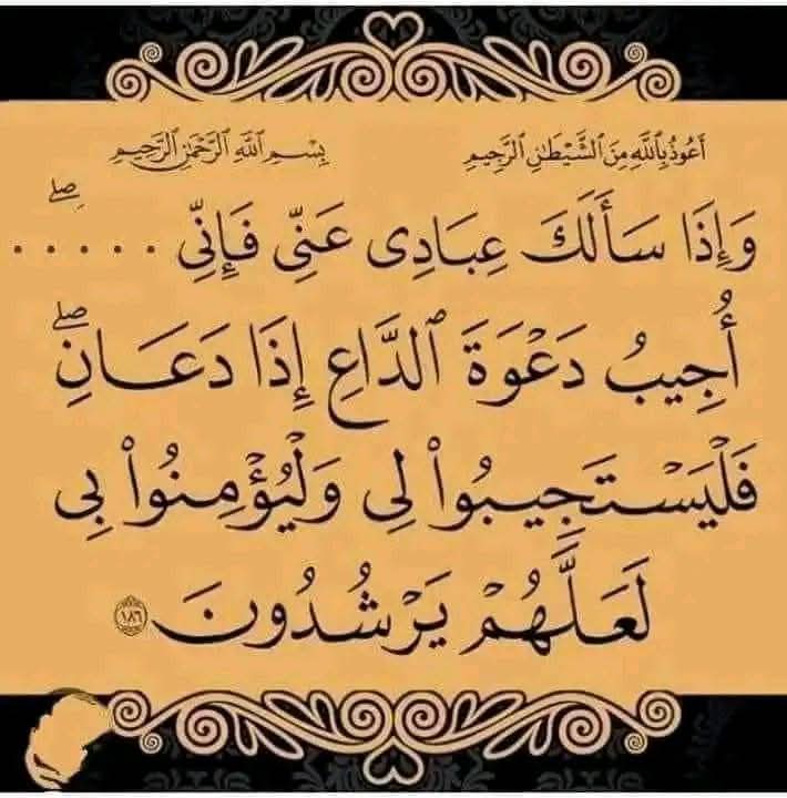 مشعل الغريِّبْ tweet media