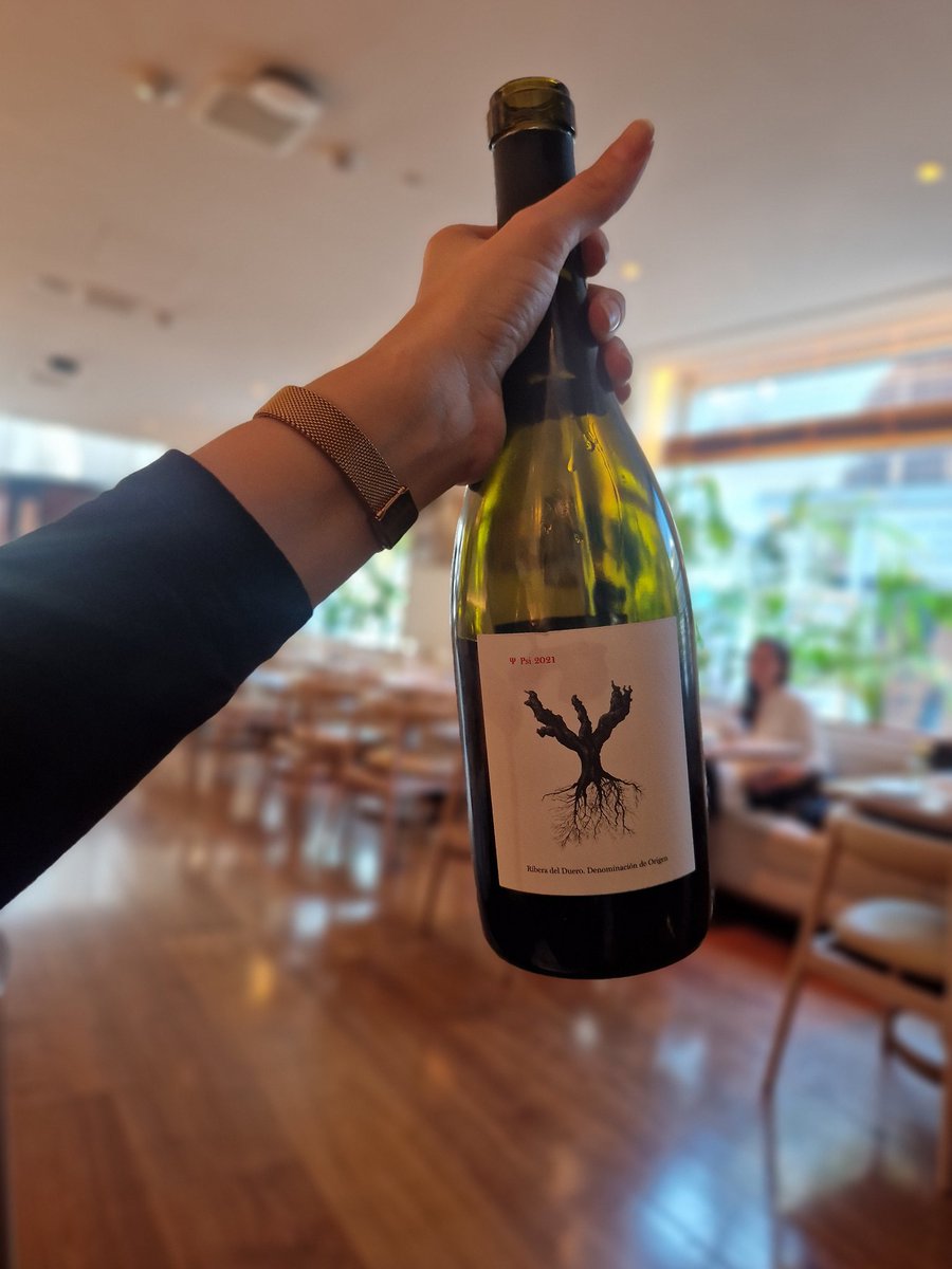 Ψ PSI 🍷

Elaborado en la DO Ribera del Duero por el grande Peter Sisseck.

Enólogo de los reputados Pingus y Flor de Pingus. Con PSI muestra un carácter más afrutado y expresivo 🍇

#wine #winelover #sommelier #vilaviniteca #petersisseck #riberadelduero #pingus #redwine